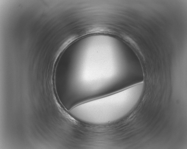 X0000062141330200512091007