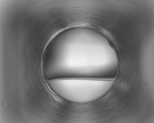 X0000062141332200512091007