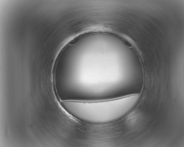 X0000062141335200512091007