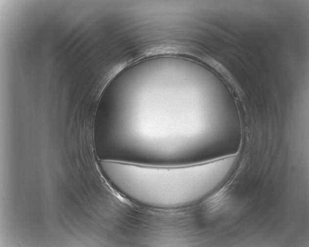 X0000062141337200512091007