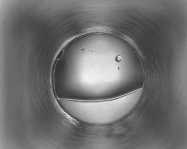 X0000062141339200512091007