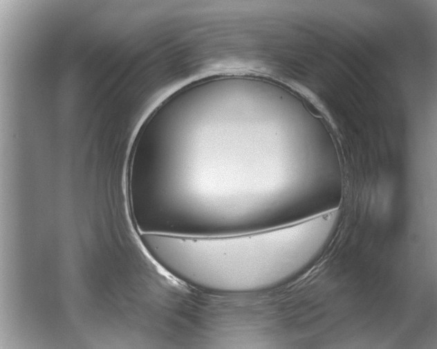 X0000062141343200512091007