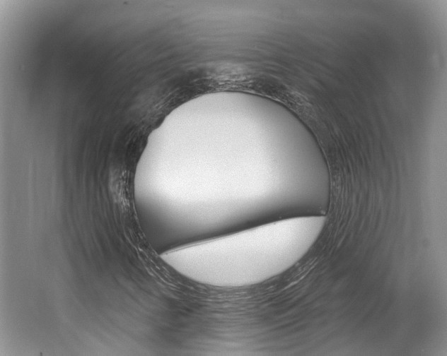 X0000062141346200512091006
