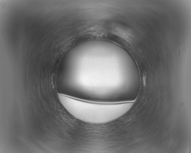 X0000062141347200512091006