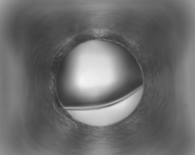 X0000062141349200512091006
