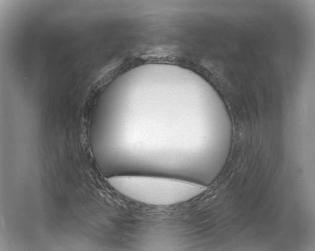 X0000062141350200512091006