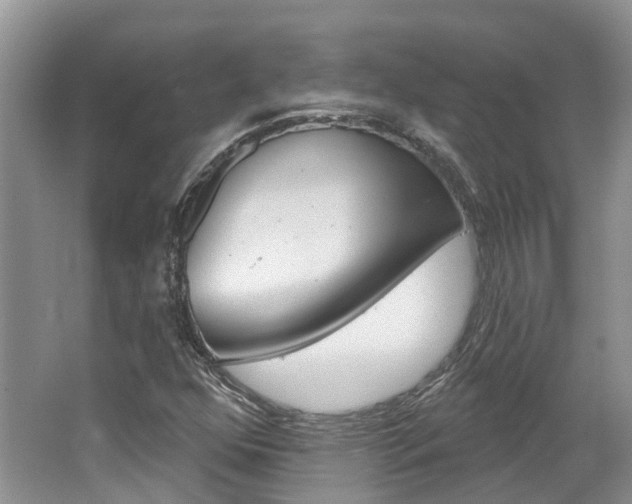X0000062141352200512091006