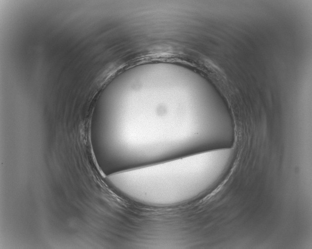 X0000062141353200512091006