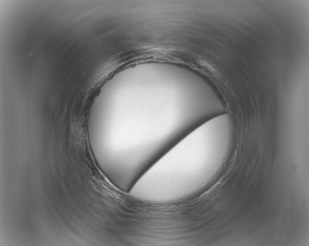 X0000062141354200512091006