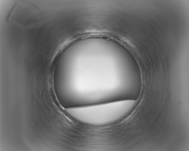 X0000062141357200512091006