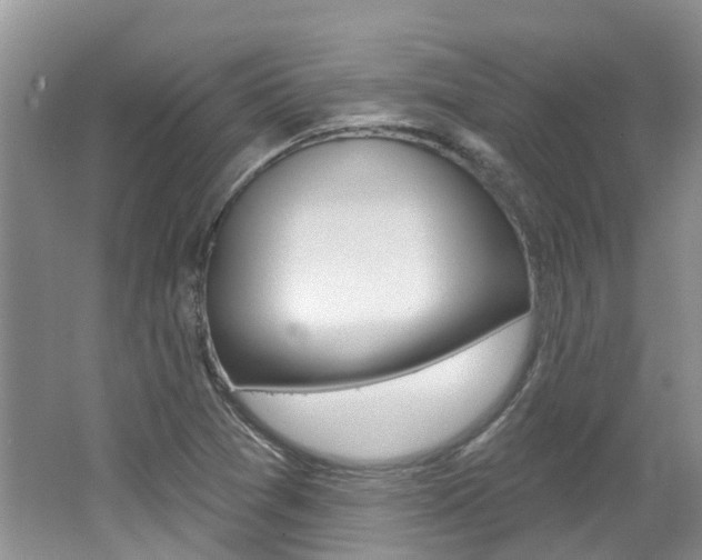 X0000062141361200512091006