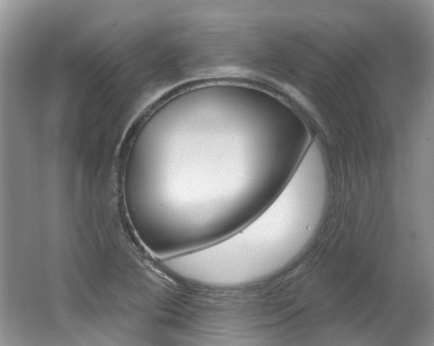 X0000062141364200512091006