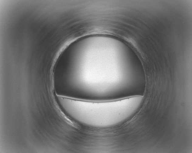 X0000062141371200512091005