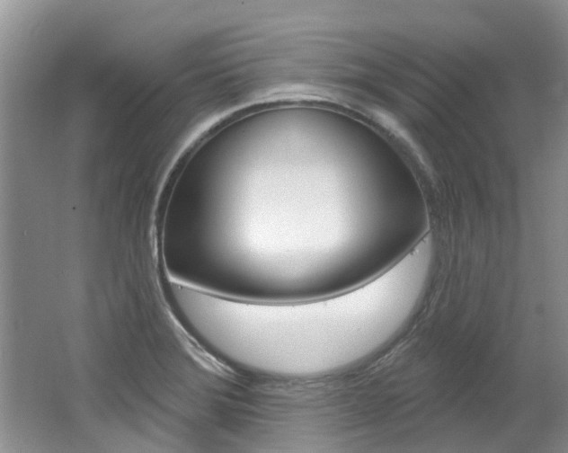 X0000062141372200512091005