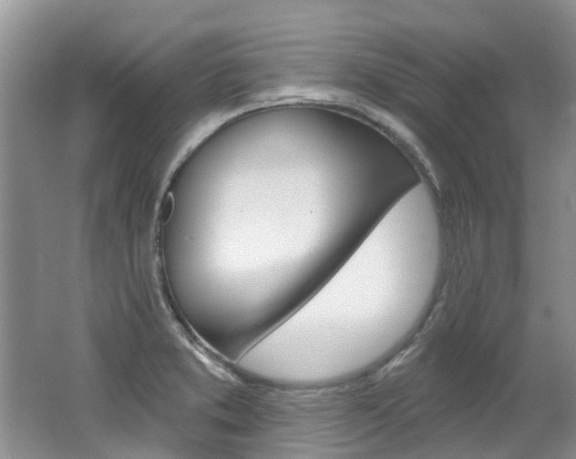 X0000062141373200512091005