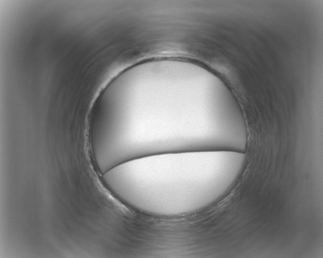 X0000062141374200512091005