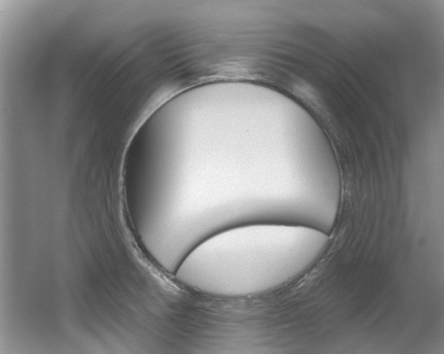 X0000062141378200512091005