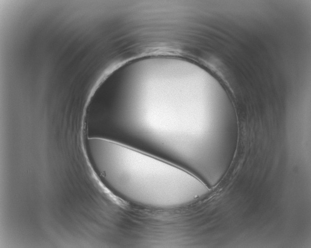 X0000062141379200512091005