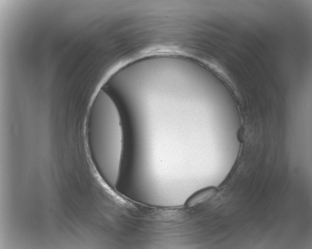 X0000062141382200512091005