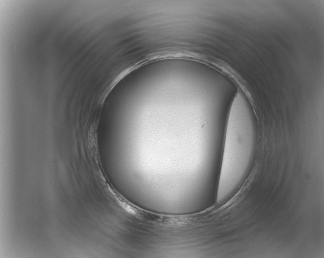 X0000062141385200512091005