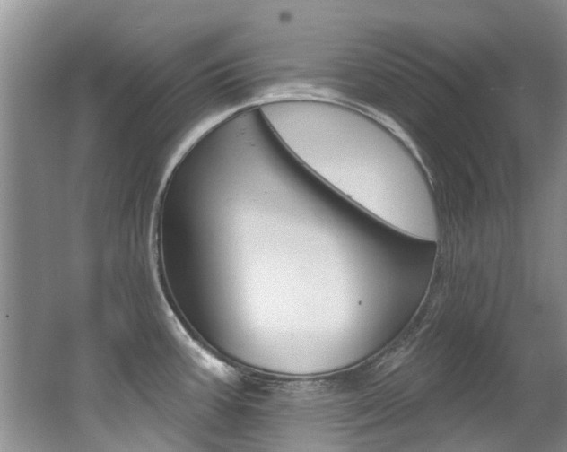 X0000062141387200512091005