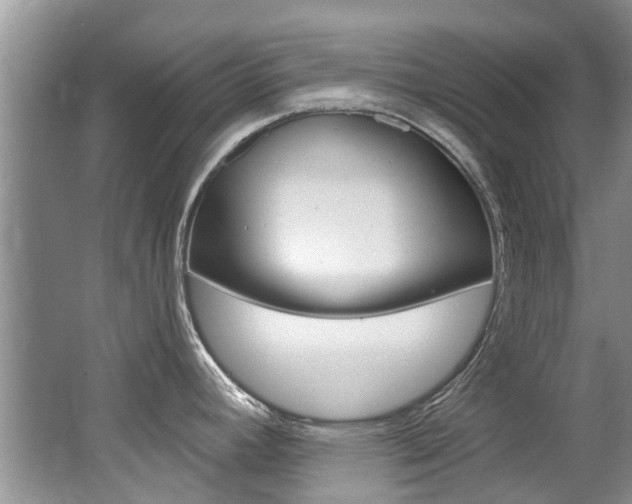 X0000062141392200512091005
