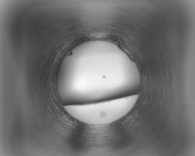 X0000062141393200512091004