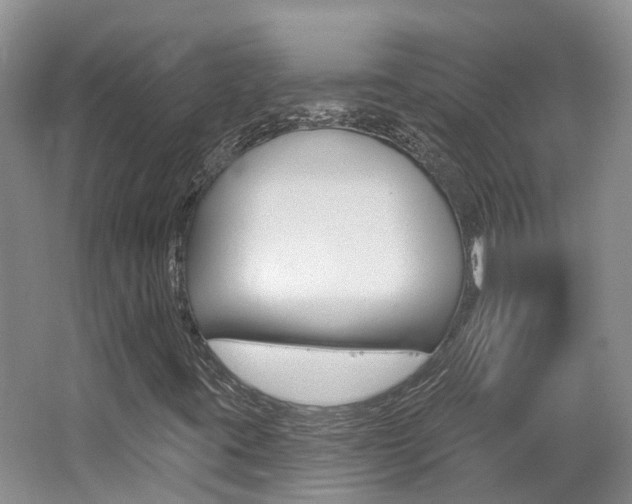 X0000062141395200512091004