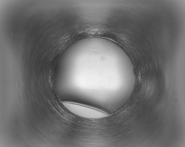X0000062141396200512091004