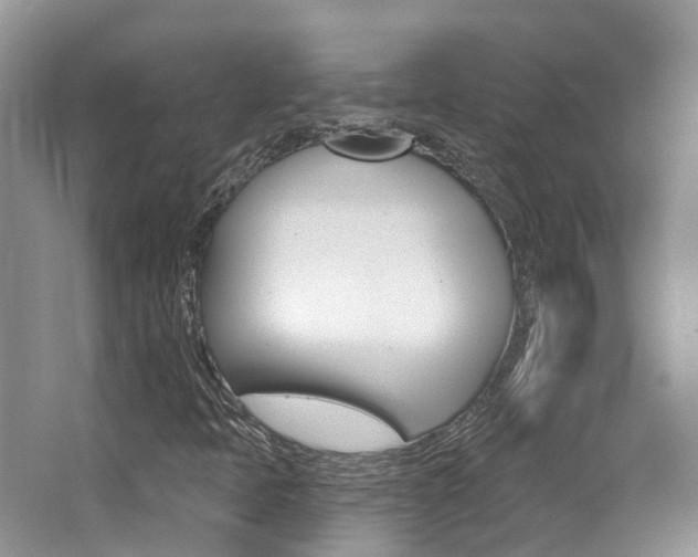 X0000062141397200512091004
