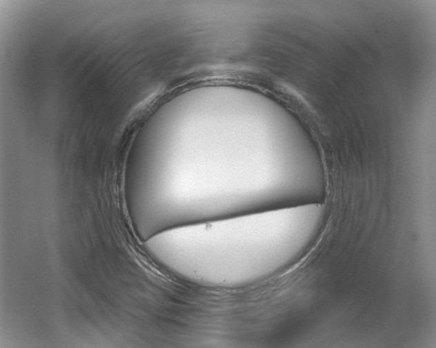 X0000062141403200512091005