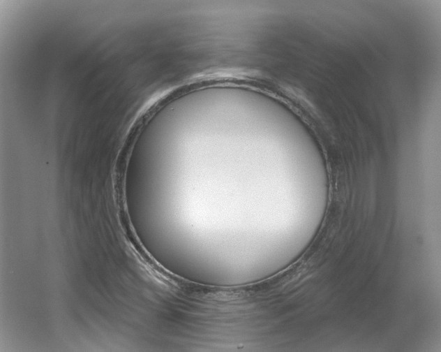 X0000062141404200512091005
