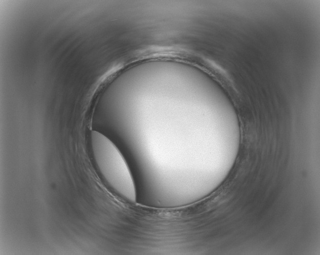 X0000062141411200512091005