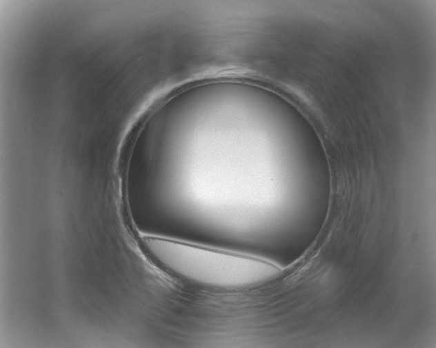 X0000062141414200512091005