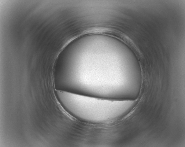 X0000062141417200512091005