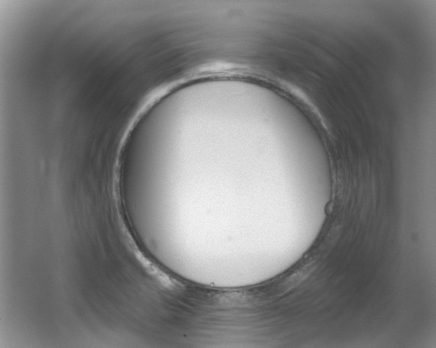 X0000062141421200512091005