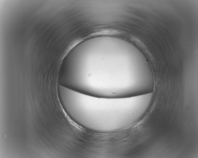 X0000062141425200512091005