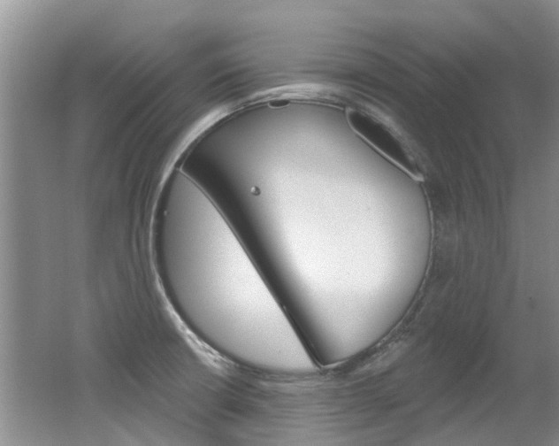 X0000062141426200512091005