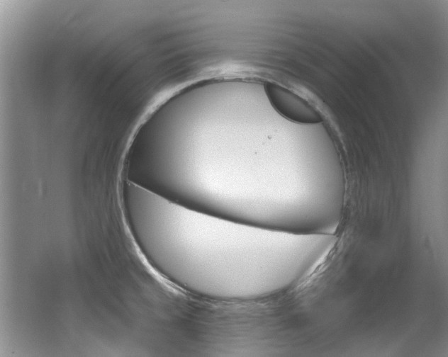 X0000062141429200512091005