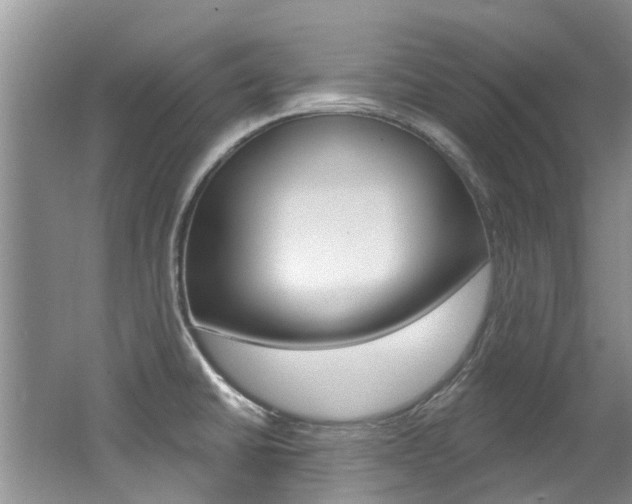X0000062141430200512091005