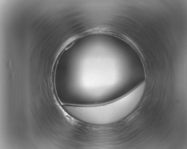 X0000062141434200512091005