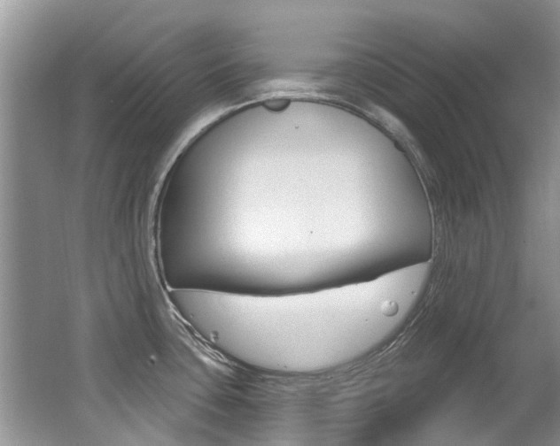 X0000062141435200512091005