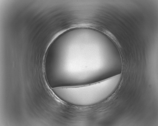 X0000062141436200512091005