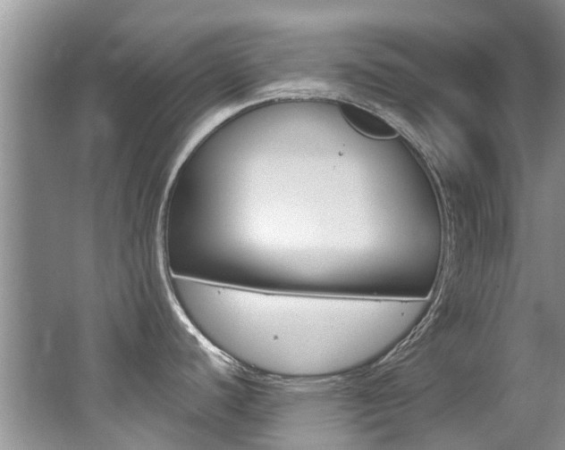X0000062141440200512091005