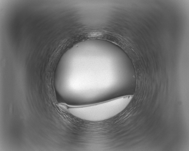 X0000062141441200512091004