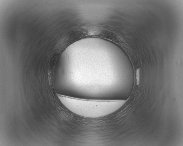 X0000062141443200512091004