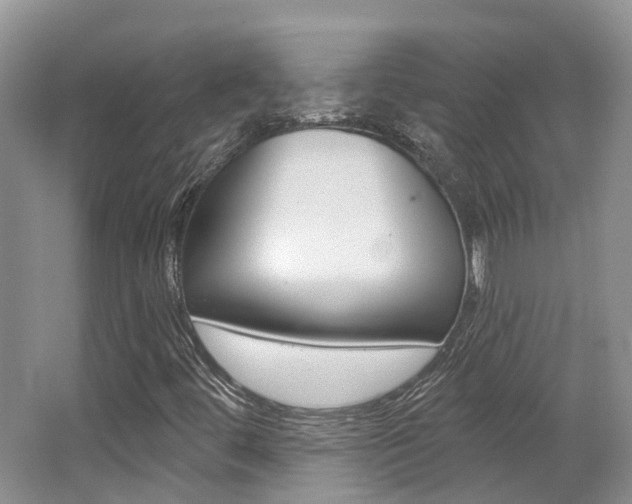 X0000062141444200512091004
