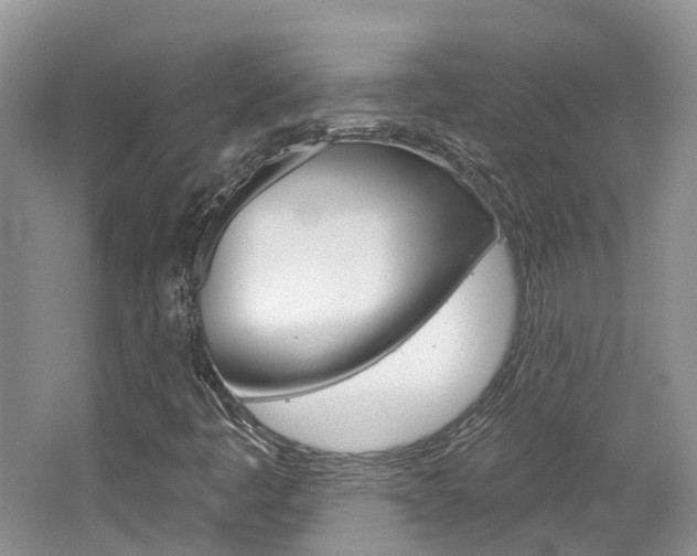 X0000062141445200512091004