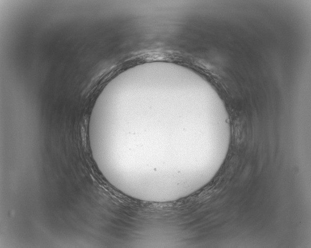 X0000062141446200512091004
