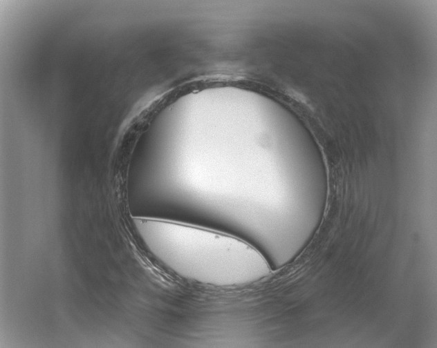 X0000062141448200512091004